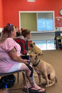 basic obedience classes near me