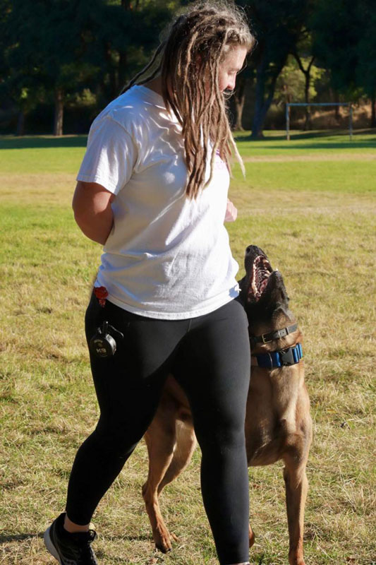 Dog Training for Veterans