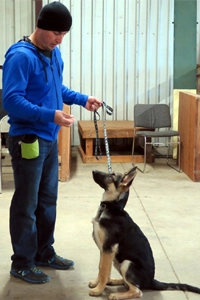 Rogue Valley private dog training