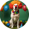 Teaching Your Dog to Come Every Time