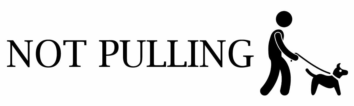 Pulling Issues Dog Training