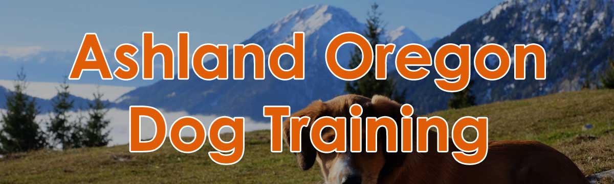 Ashland, Oregon Dog Training