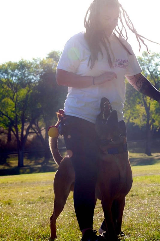 Dog Training for Veterans