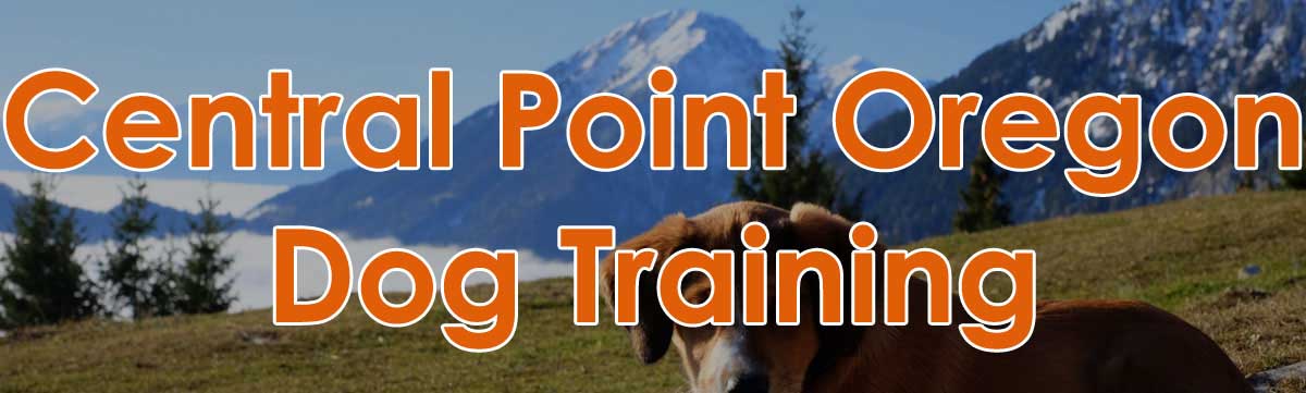 Central Point Oregon Dog Training