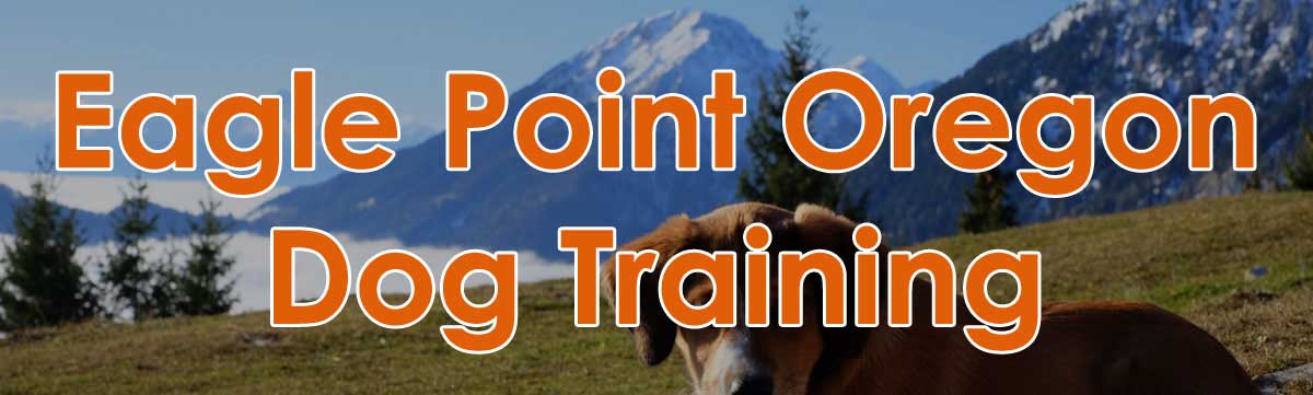 Eagle Point, Oregon Dog Training
