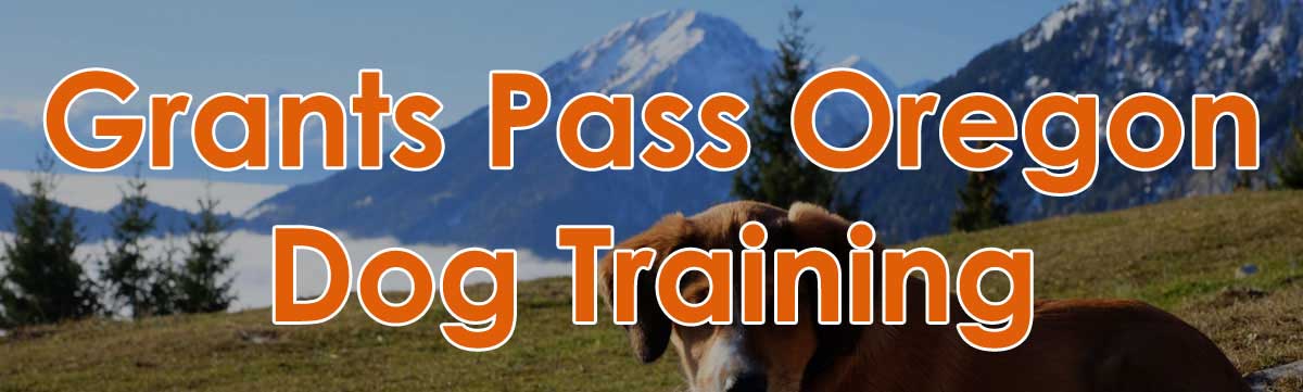 Grants Pass Oregon Dog Training
