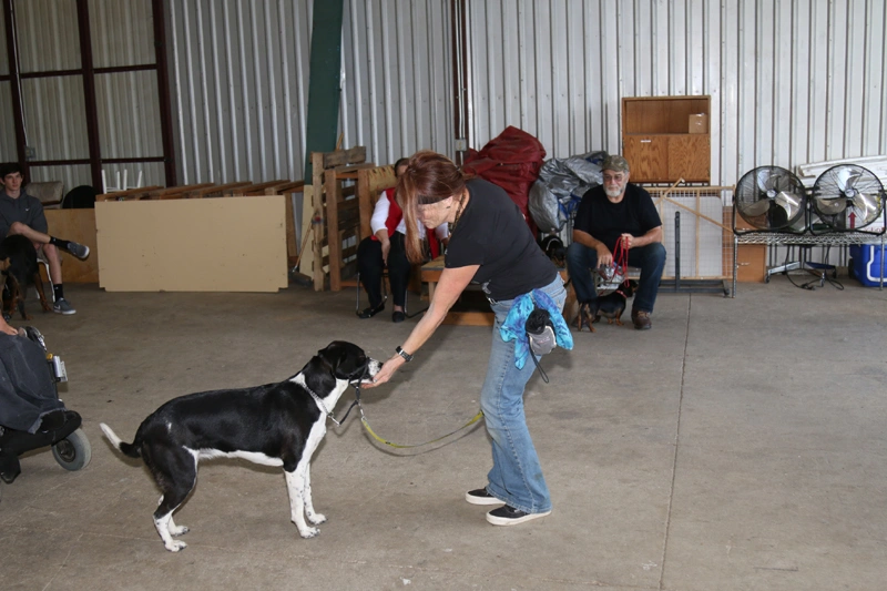 dog training near me, rogue valley dog training, medford dog training, professional dog training