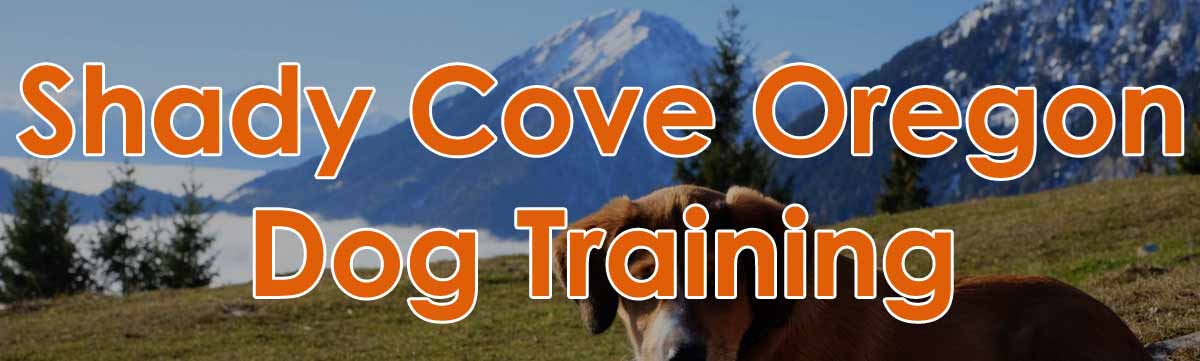 Shady Cove, Oregon Dog Training