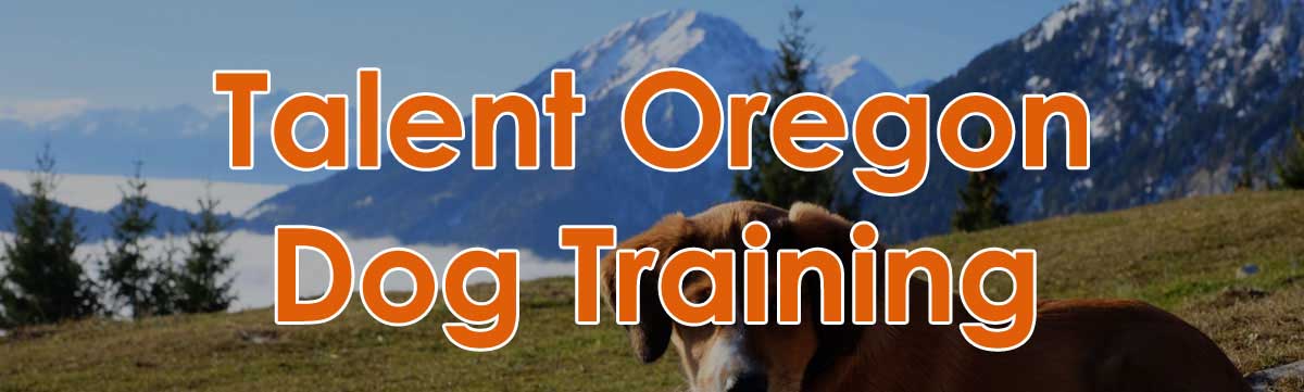 Medford Oregon Dog Training