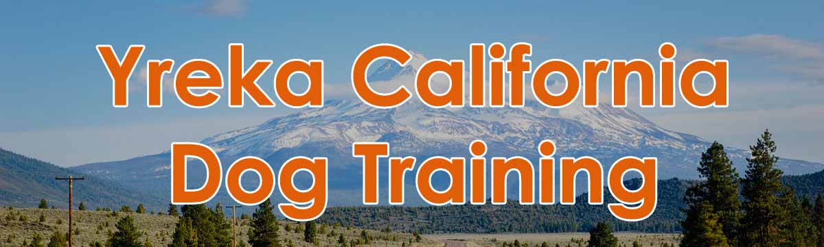 Yreka, California Dog Training