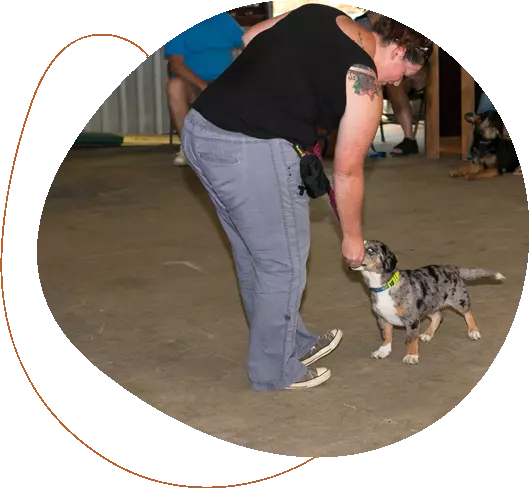 About Prodogz Training in Medford, Oregon