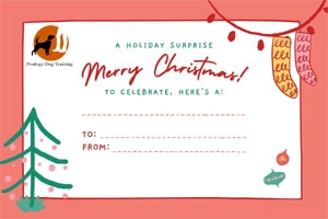 Dog training Christmas gift certificate