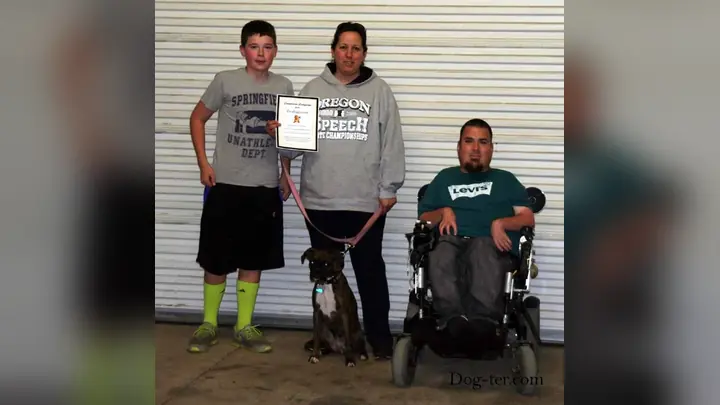 Clients and dogs in a Prodogz Dog Training basic obedience class led by Jason Lake in Medford, Oregon on January 21, 2015