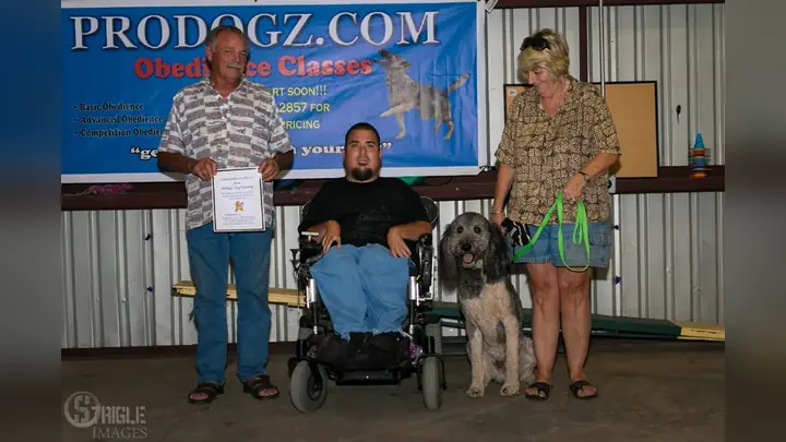 Clients and dogs in a Prodogz Dog Training basic obedience class led by Jason Lake in Medford, Oregon on August 19, 2015