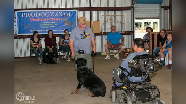 Clients and dogs in a Prodogz Dog Training basic obedience class led by Jason Lake in Medford, Oregon on August 25, 2015