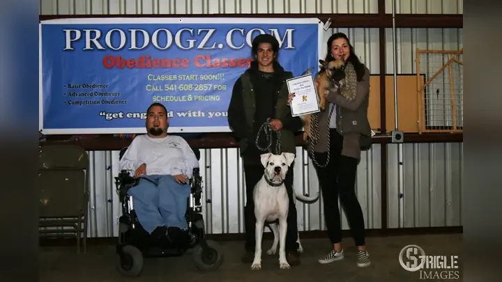 Clients and dogs in a Prodogz Dog Training basic obedience class led by Jason Lake in Medford, Oregon on November 18, 2015