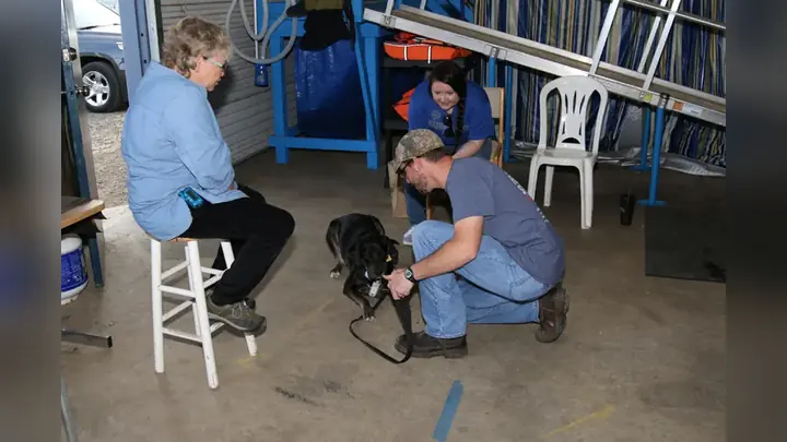 Clients and dogs in a Prodogz Dog Training basic obedience class led by Jason Lake in Medford, Oregon on June 1, 2016