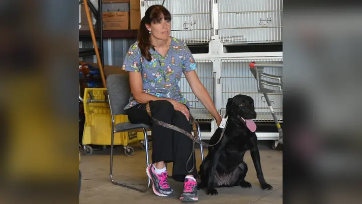 Clients and dogs in a Prodogz Dog Training basic obedience class led by Jason Lake in Medford, Oregon on August 7, 2016