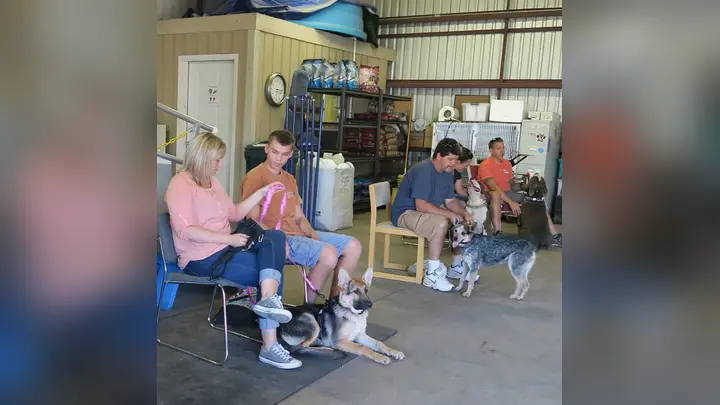 Clients and dogs in a Prodogz Dog Training basic obedience class led by Jason Lake in Medford, Oregon on September 12, 2016