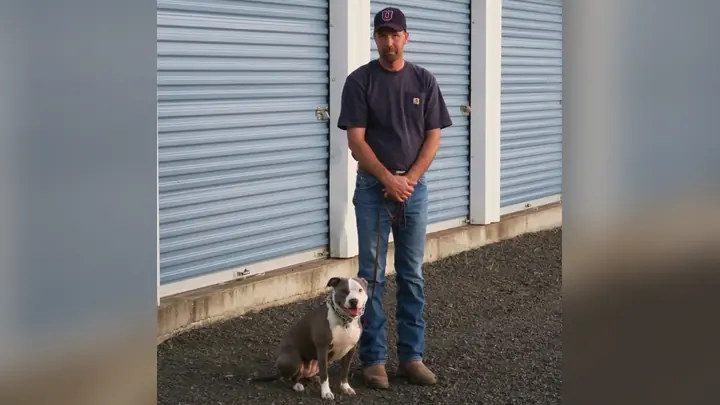 Clients and dogs in a Prodogz Dog Training basic obedience class led by Jason Lake in Medford, Oregon on November 8, 2016