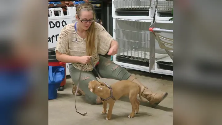 Clients and dogs in a Prodogz Dog Training basic obedience class led by Jason Lake in Medford, Oregon on December 16, 2016