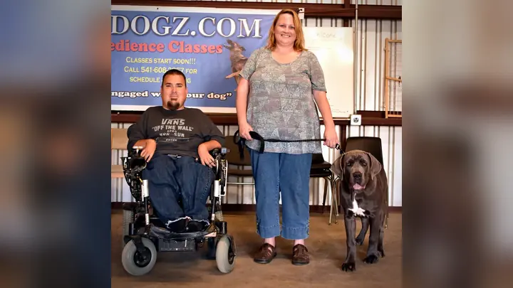Clients and dogs in a Prodogz Dog Training basic obedience class led by Jason Lake in Medford, Oregon on June 12, 2017