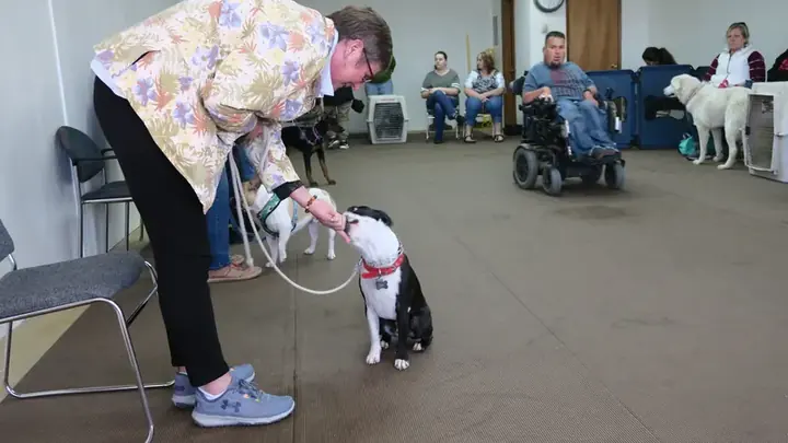 Clients and dogs in a Prodogz Dog Training basic obedience class led by Jason Lake in Medford, Oregon on April 2, 2018