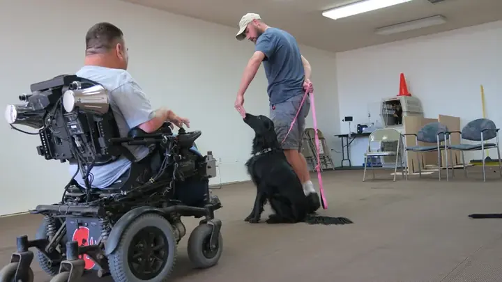 Clients and dogs in a Prodogz Dog Training basic obedience class led by Jason Lake in Medford, Oregon on June 25, 2018