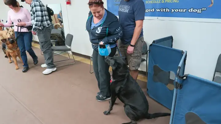 Clients and dogs in a Prodogz Dog Training basic obedience class led by Jason Lake in Medford, Oregon on October 22, 2018