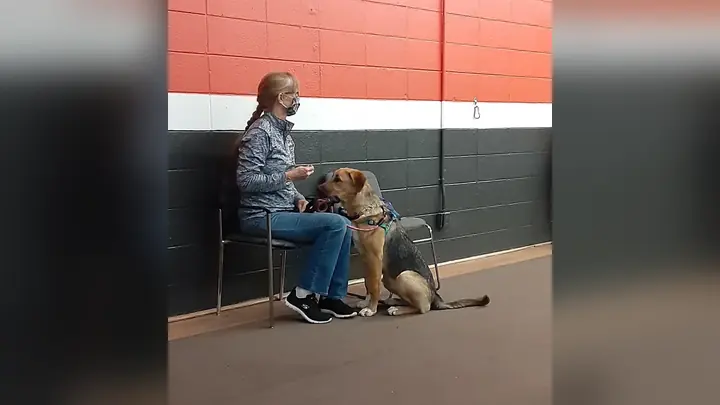Clients and dogs in a Prodogz Dog Training basic obedience class led by Jason Lake in Medford, Oregon on September 14, 2020