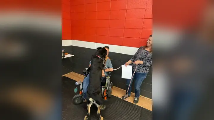 Clients and dogs in a Prodogz Dog Training basic obedience class led by Jason Lake in Medford, Oregon on April 17, 2023