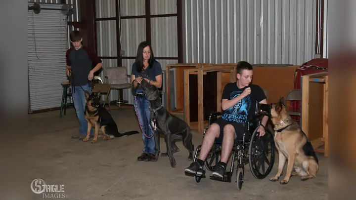 Client and dog practicing Canine Good Citizen skills with Jason Lake at Prodogz Dog Training in Medford, Oregon — October 6, 2015