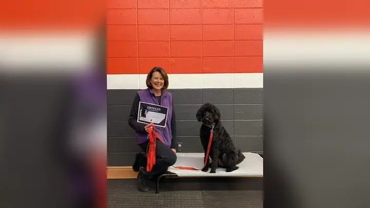 Client and dog completing a Prodogz Dog Training refresher class with Jason Lake in Medford, Oregon — November 30, 2022