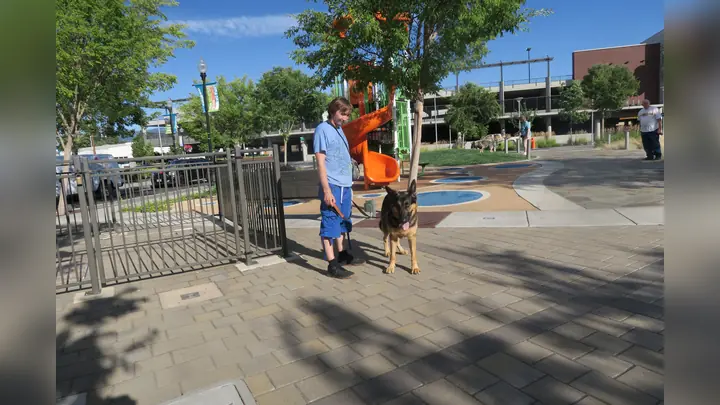 Clients and dogs practicing public leash walking with Jason Lake during a Prodogz Move & Groove class in Southern Oregon — July 12, 2019