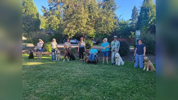 Clients and dogs practicing leash walking with Jason Lake in a Prodogz Move & Groove class in Medford, Oregon — July 8, 2024