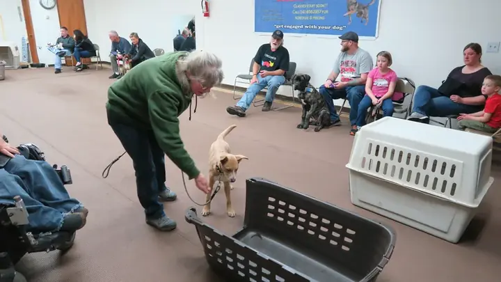 Clients and dogs in a Prodogz Dog Training puppy class led by Jason Lake in Medford, Oregon on February 9, 2018