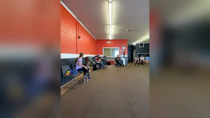 Clients and dogs in a Prodogz Dog Training puppy class led by Jason Lake in Medford, Oregon on June 19, 2020