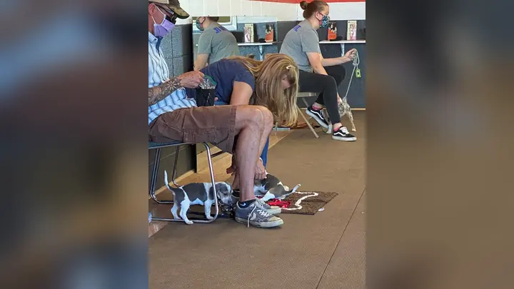 Clients and dogs in a Prodogz Dog Training puppy class led by Jason Lake in Medford, Oregon on June 29, 2020
