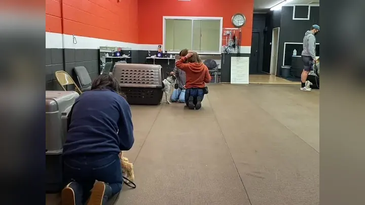 Clients and dogs in a Prodogz Dog Training puppy class led by Jason Lake in Medford, Oregon on March 5, 2021