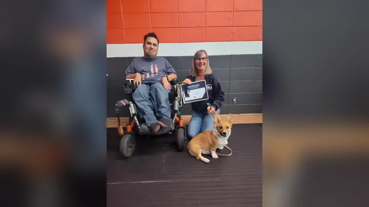 Clients and dogs in a Prodogz Dog Training puppy class led by Jason Lake in Medford, Oregon on November 22, 2024