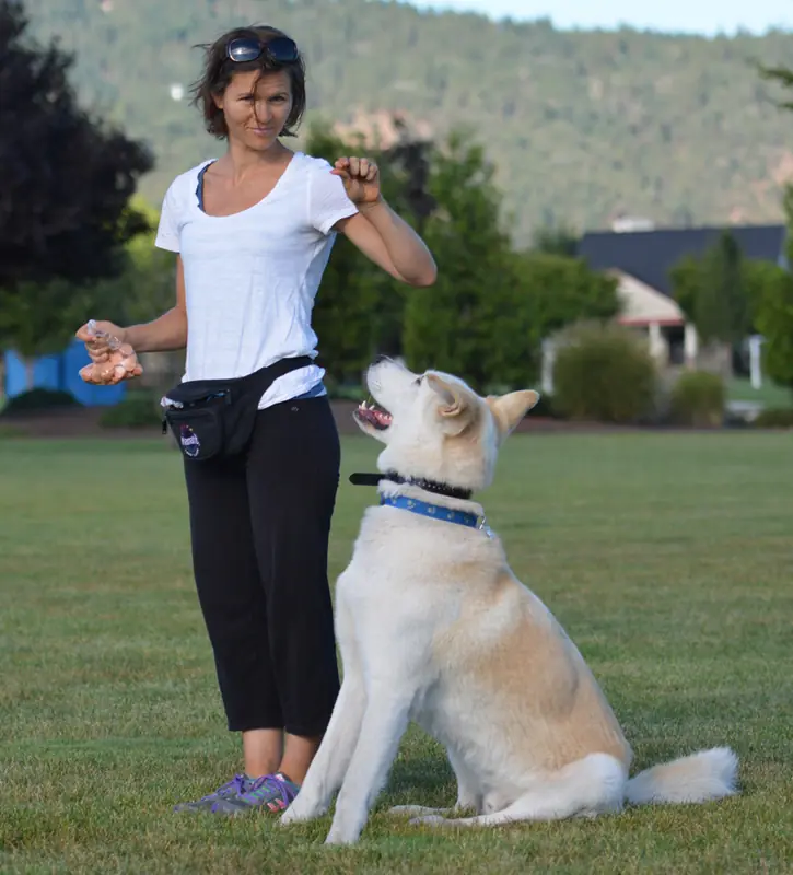 Rescue dog and client during Prodogz Dog Training with Jason Lake in Southern Oregon — 2012–2013, photo 1