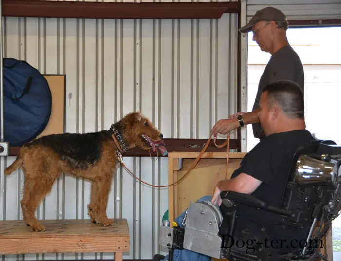 Client and dog practicing circus dog tricks with Jason Lake at Prodogz Dog Training in Medford, Oregon — September 15, 2014, photo 3