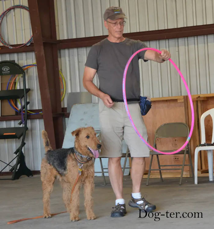 Client and dog practicing circus dog tricks with Jason Lake at Prodogz Dog Training in Medford, Oregon — September 15, 2014, photo 4