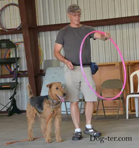 Client and dog practicing circus dog tricks with Jason Lake at Prodogz Dog Training in Medford, Oregon — September 15, 2014, photo 11