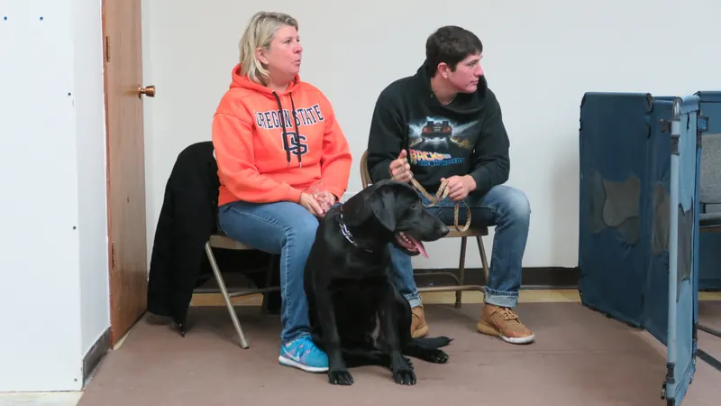 Clients and dogs in a Prodogz Dog Training basic obedience class led by Jason Lake in Medford, Oregon — November 6, 2017, photo 8