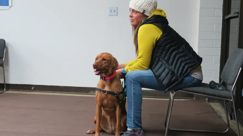 Clients and dogs in a Prodogz Dog Training basic obedience class led by Jason Lake in Medford, Oregon — November 6, 2017, photo 15