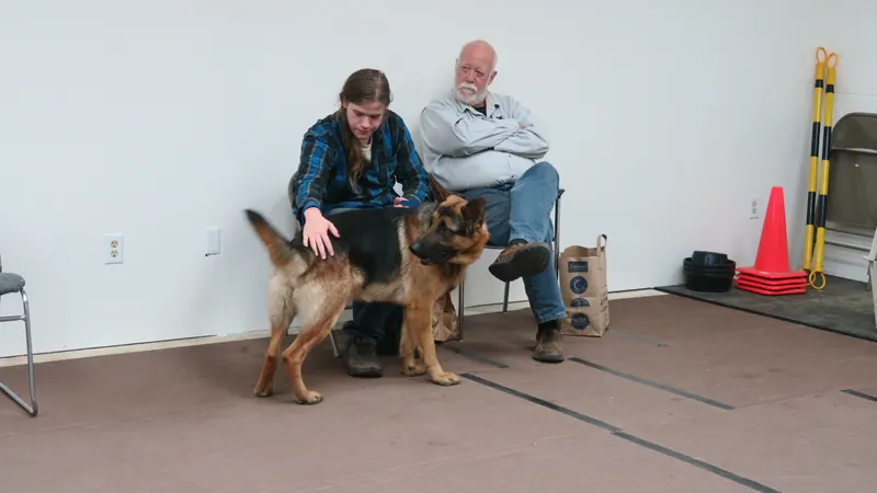 Clients and dogs in a Prodogz Dog Training basic obedience class led by Jason Lake in Medford, Oregon — November 6, 2017, photo 17