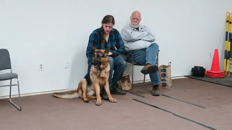 Clients and dogs in a Prodogz Dog Training basic obedience class led by Jason Lake in Medford, Oregon — November 6, 2017, photo 18