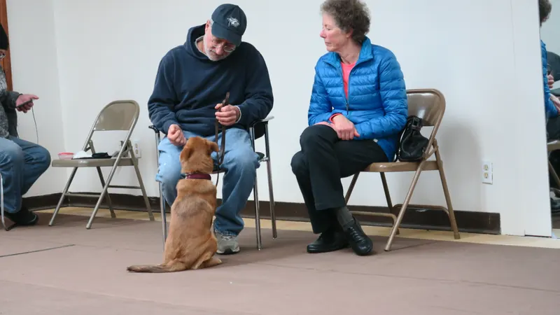 Clients and dogs in a Prodogz Dog Training basic obedience class led by Jason Lake in Medford, Oregon — January 1, 2018, photo 2