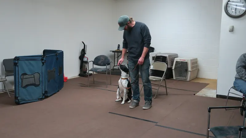 Clients and dogs in a Prodogz Dog Training basic obedience class led by Jason Lake in Medford, Oregon — January 1, 2018, photo 8